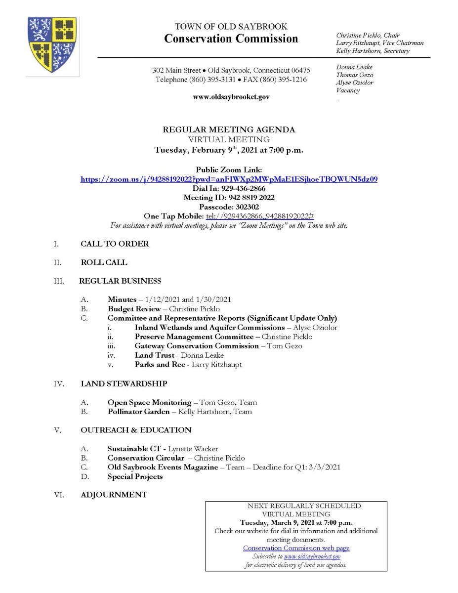 CC Meeting Agenda 2/9/21