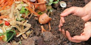 A handful of compost