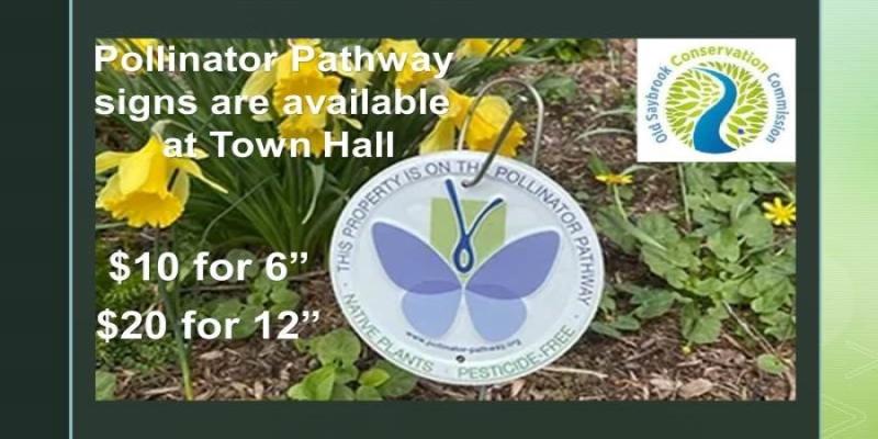 Pollinator Pathway signs are available in Town Hall
