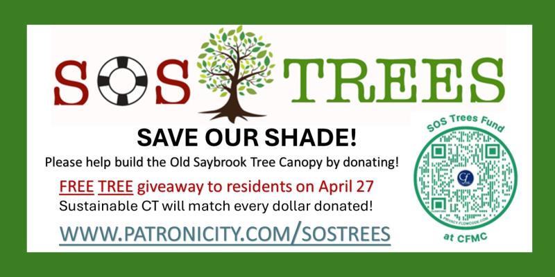 2024-02-27 - SOS Trees